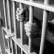 The Criminal Justice Process Demystified Part 2: The Bail Hearing