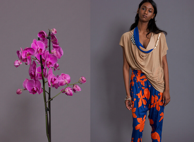 PAULA-IMMICH-orchidee-top-le-t-shirt-nude-harems-pants-orange-x